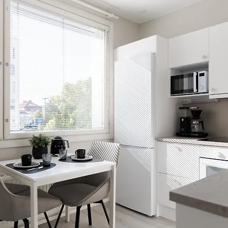 Viihtyisae Ja Tyylikaes Kaksio Keskustan Tuntumassa Apartment *